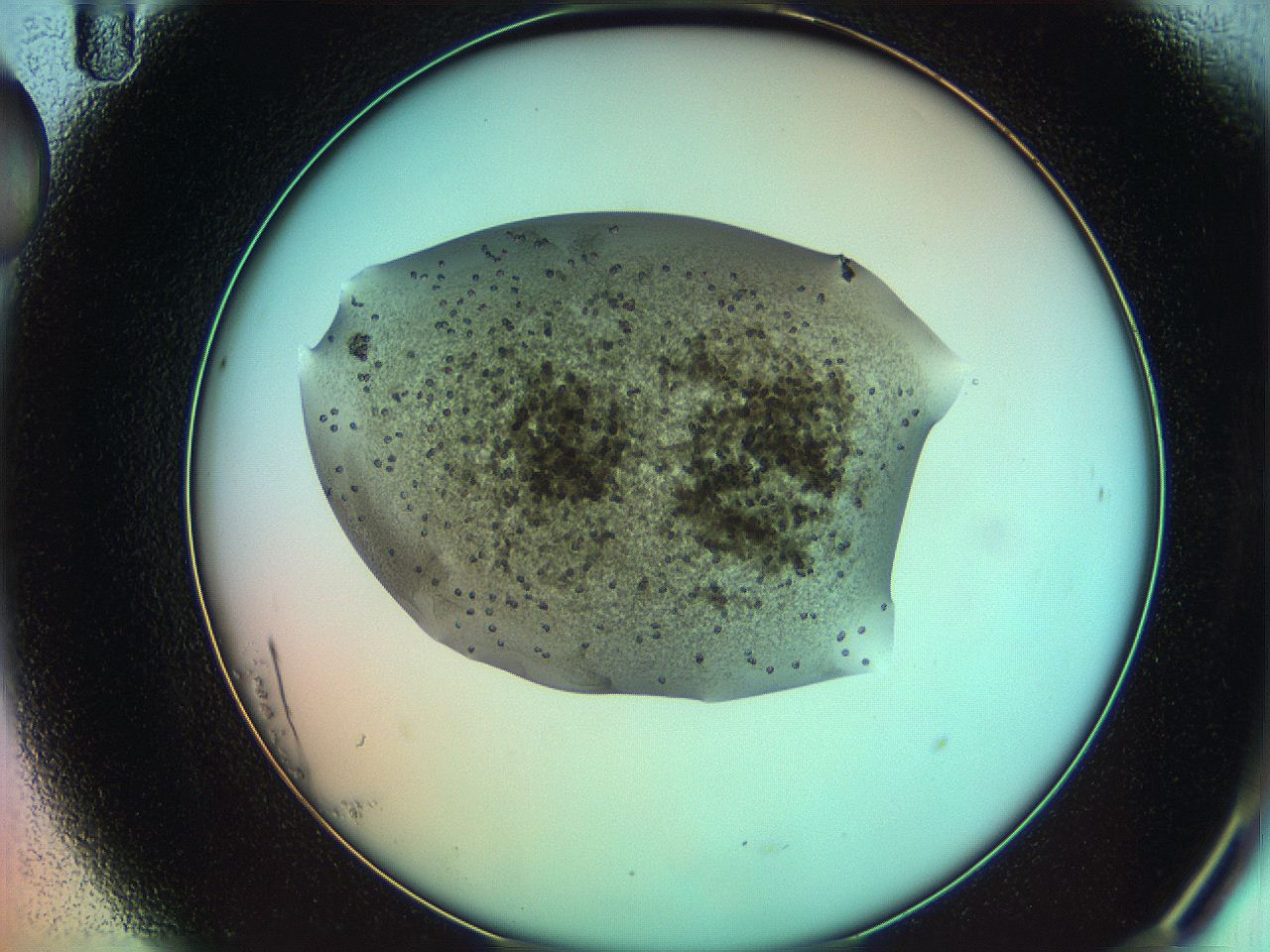 05xx_B11_ImagerDefaults_6.jpg