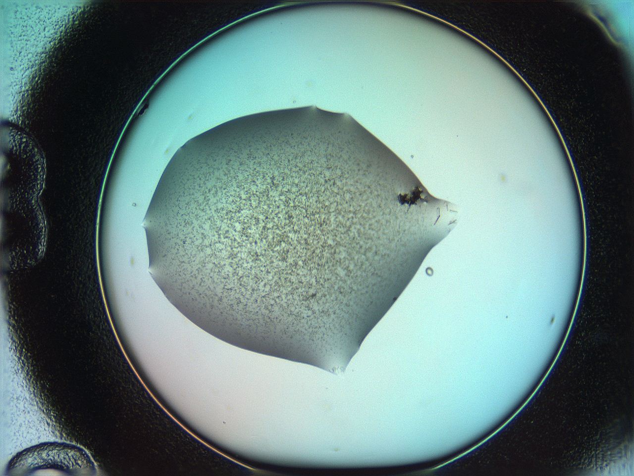 05xx_B12_ImagerDefaults_9.jpg