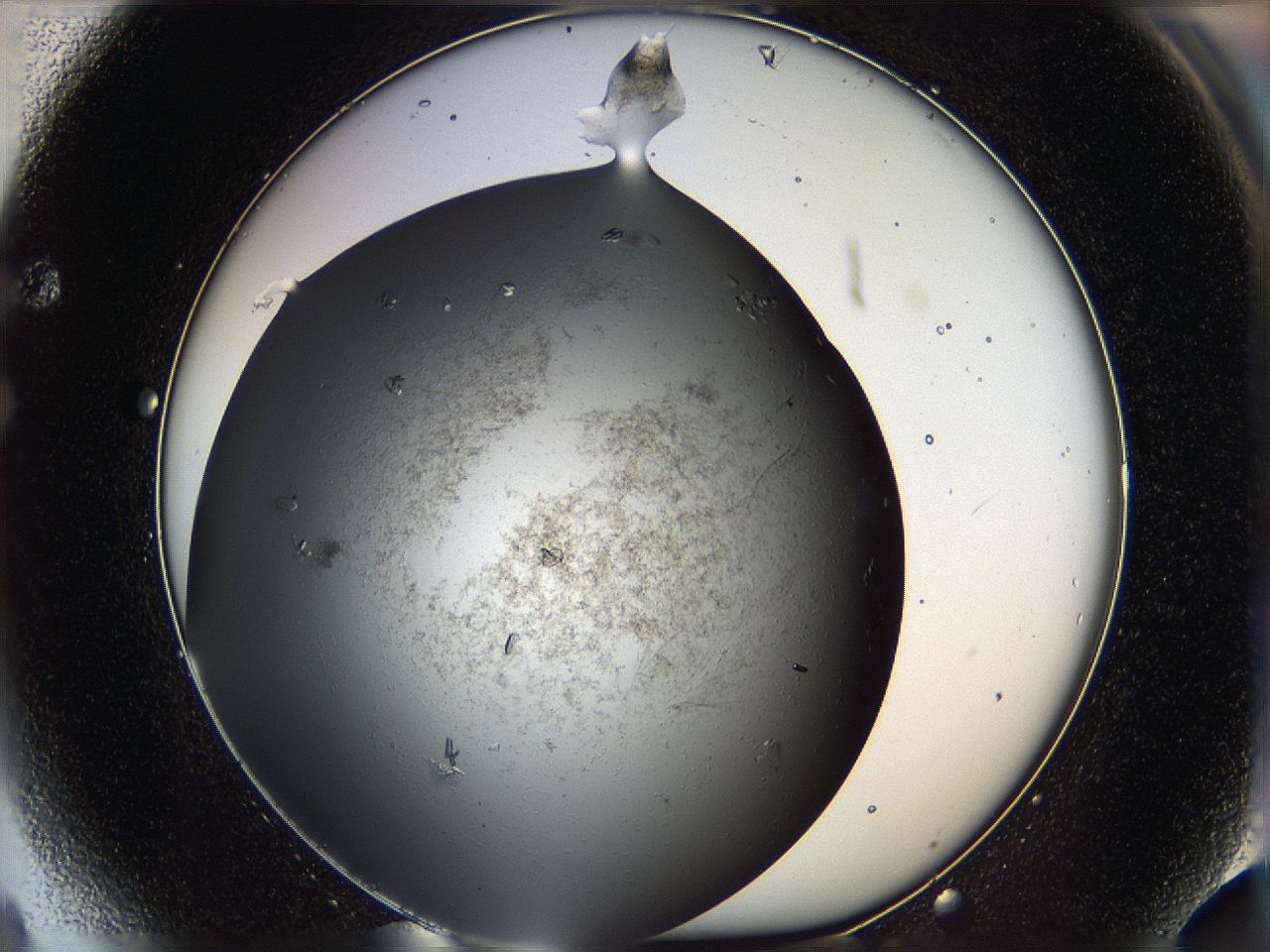 05xx_F4_ImagerDefaults_9.jpg