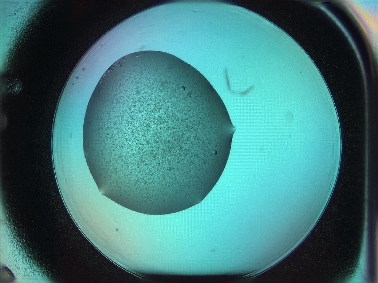 05xx_F6_ImagerDefaults_9.jpg