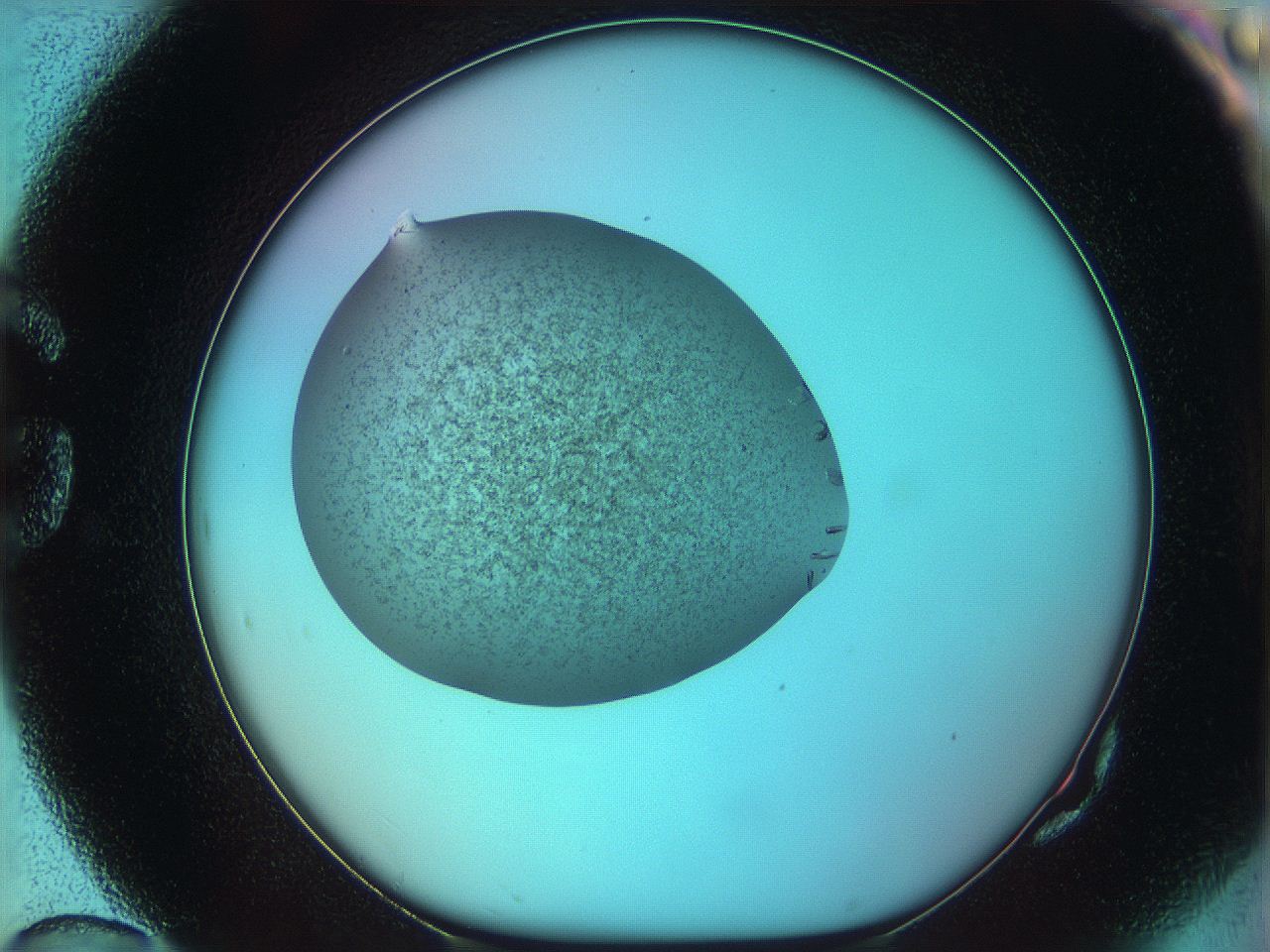 05xx_G10_ImagerDefaults_9.jpg