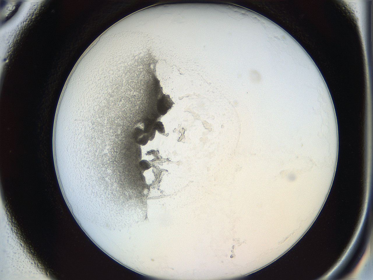 05y2_A5_ImagerDefaults_5.jpg