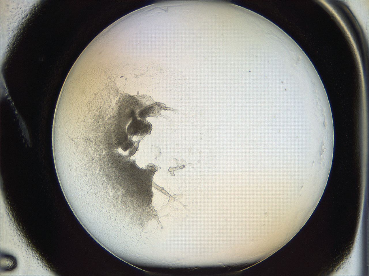 05y2_A5_ImagerDefaults_3.jpg