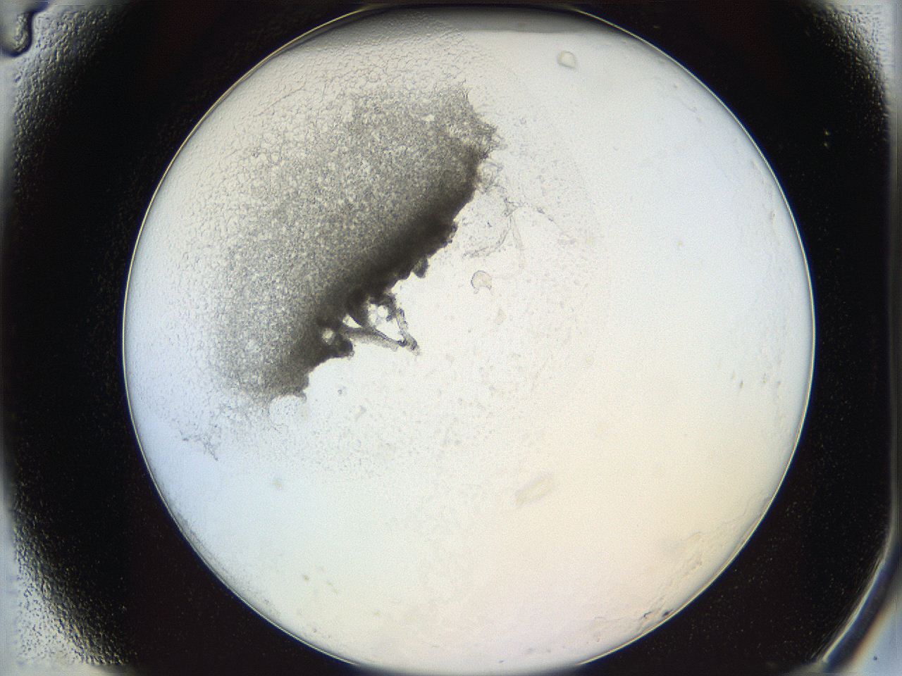 05y2_A4_ImagerDefaults_5.jpg