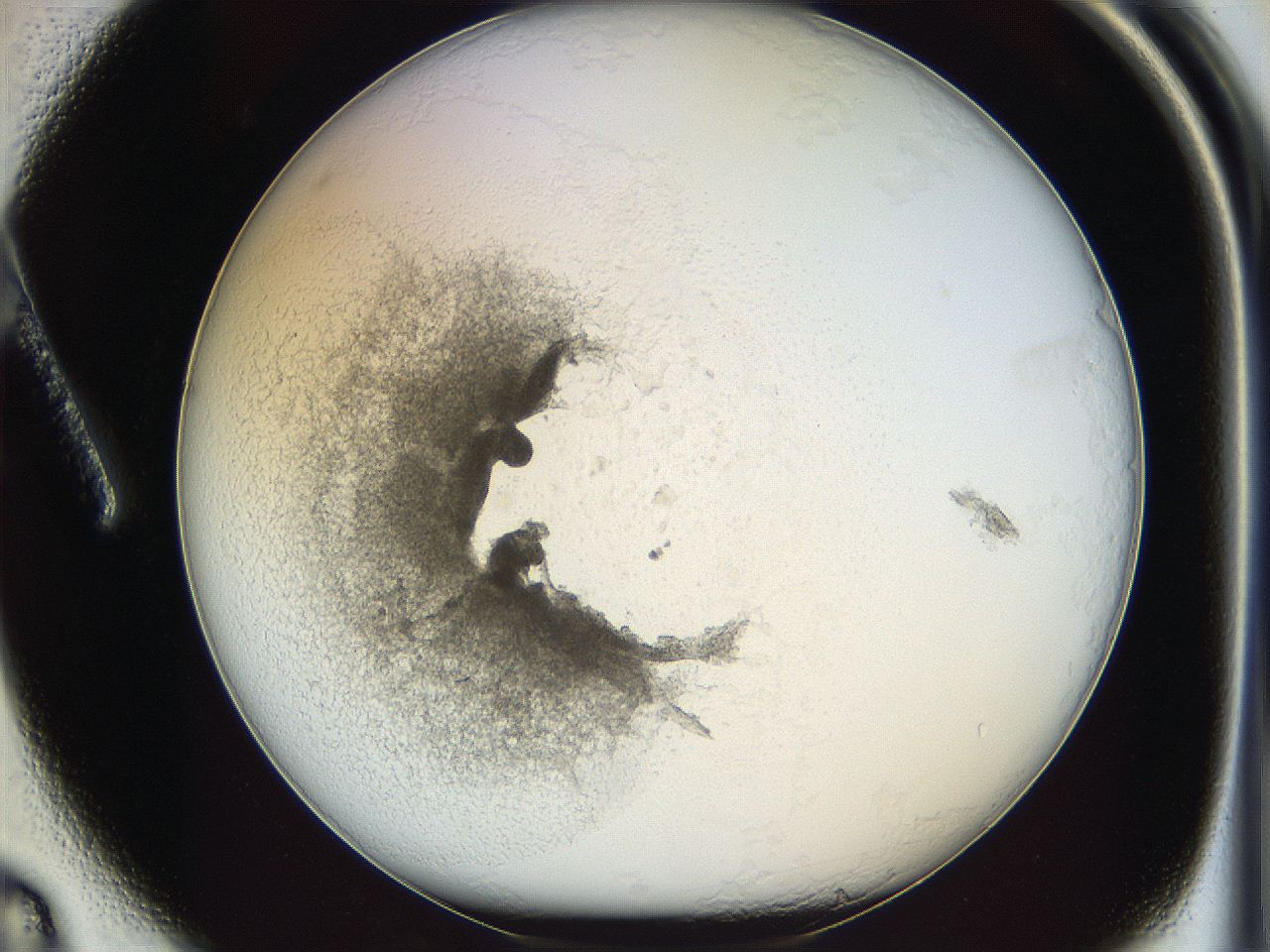05y2_A3_ImagerDefaults_3.jpg