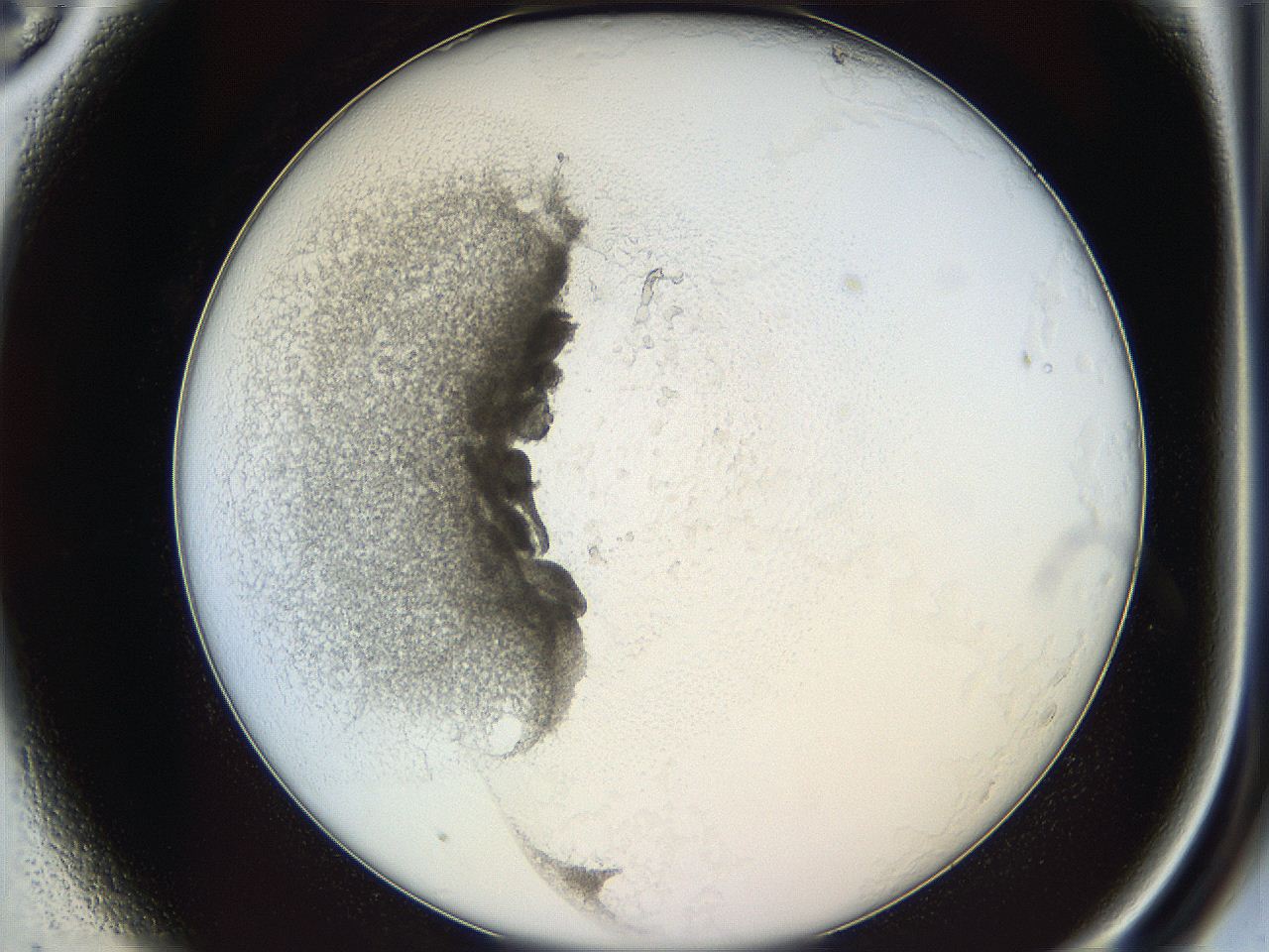 05y2_A3_ImagerDefaults_5.jpg