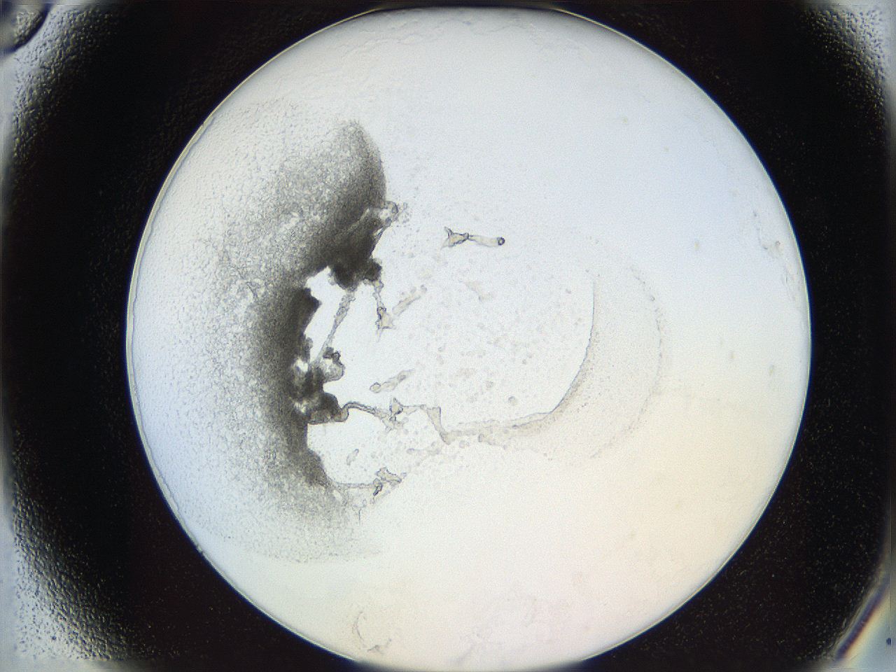 05y2_A6_ImagerDefaults_5.jpg