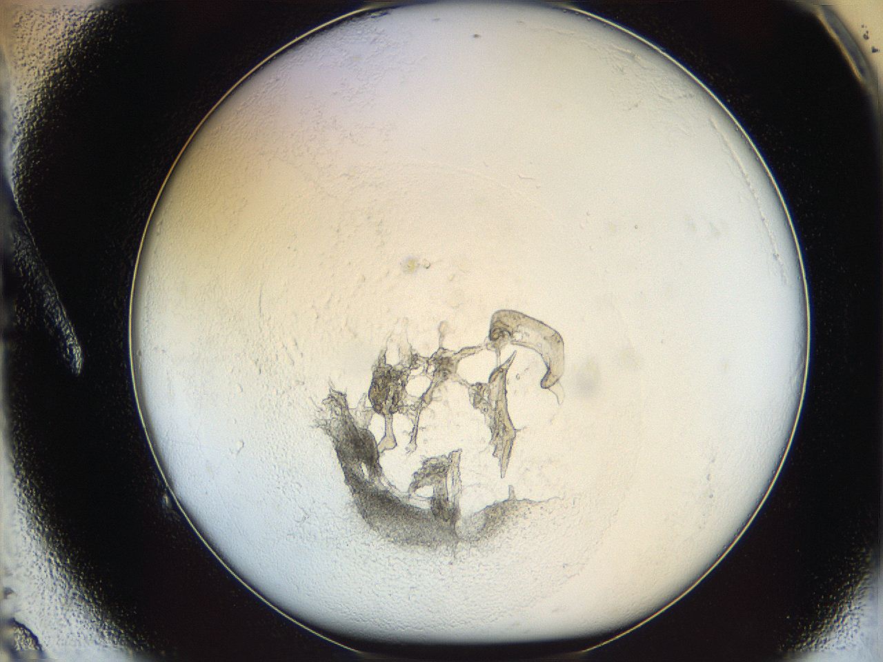 05y2_A9_ImagerDefaults_5.jpg