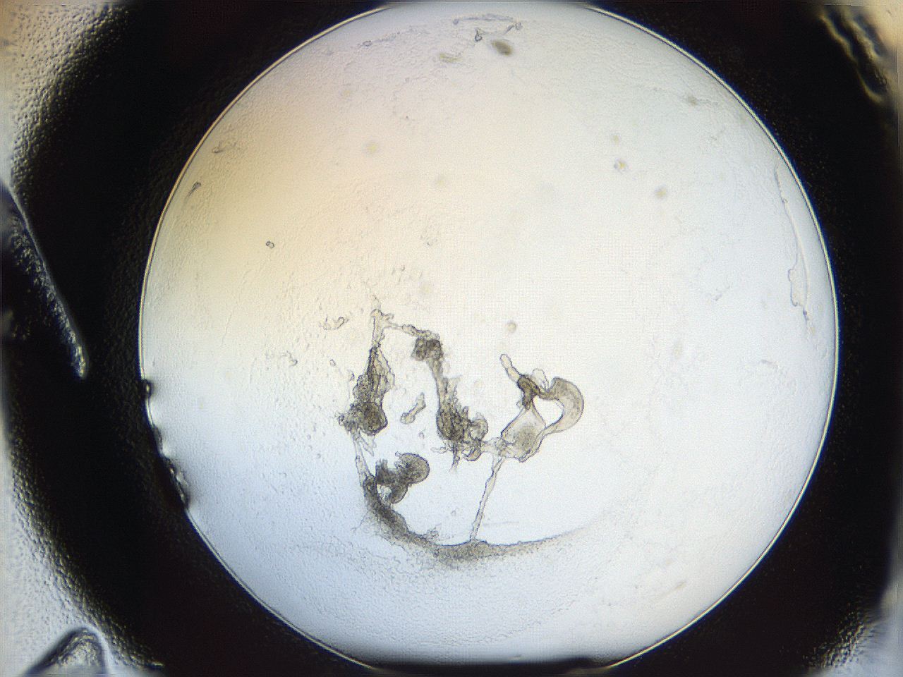 05y2_A11_ImagerDefaults_5.jpg