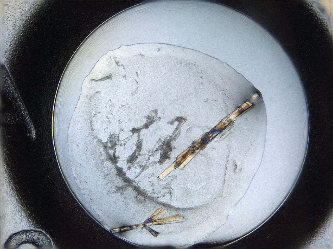 05y2_A12_ImagerDefaults_9.jpg