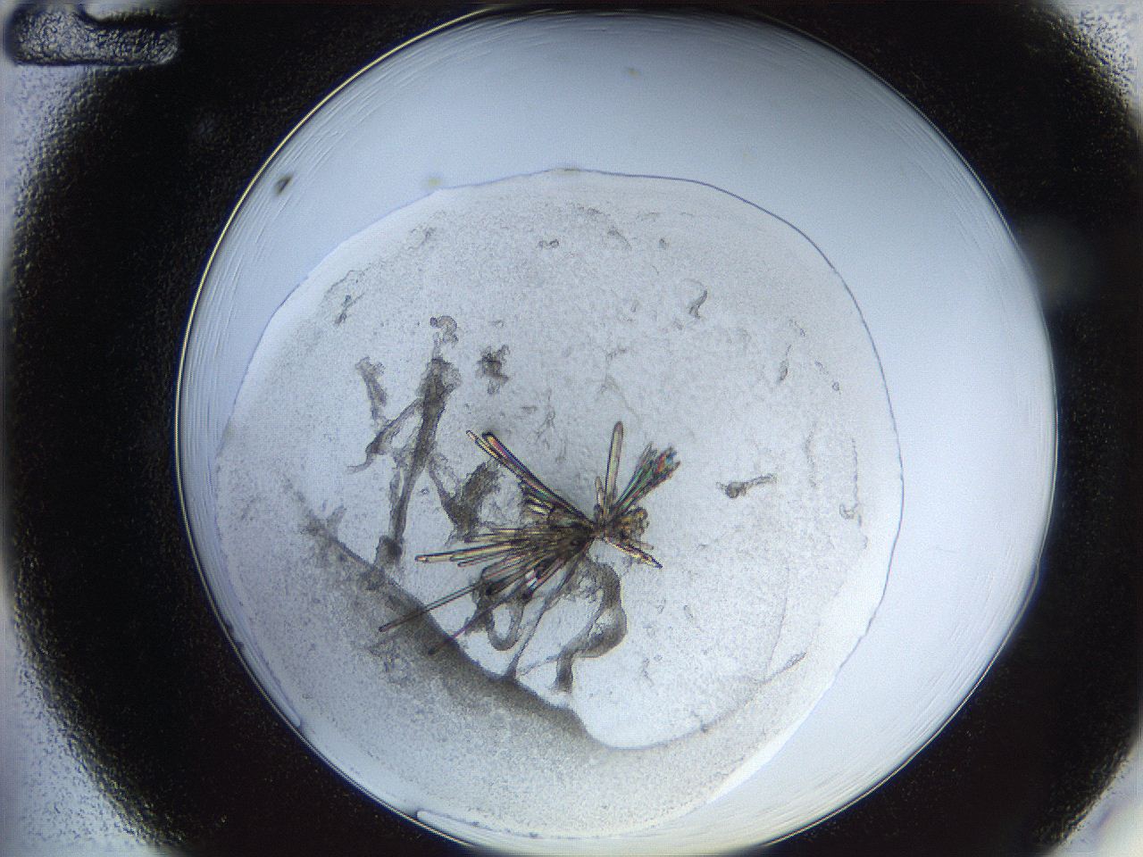 05y2_A12_ImagerDefaults_5.jpg