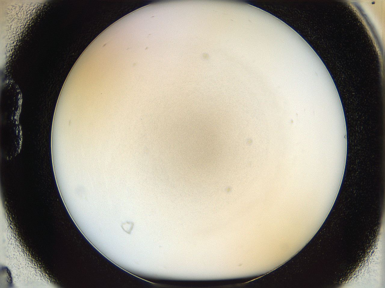 05y2_B4_ImagerDefaults_0.jpg