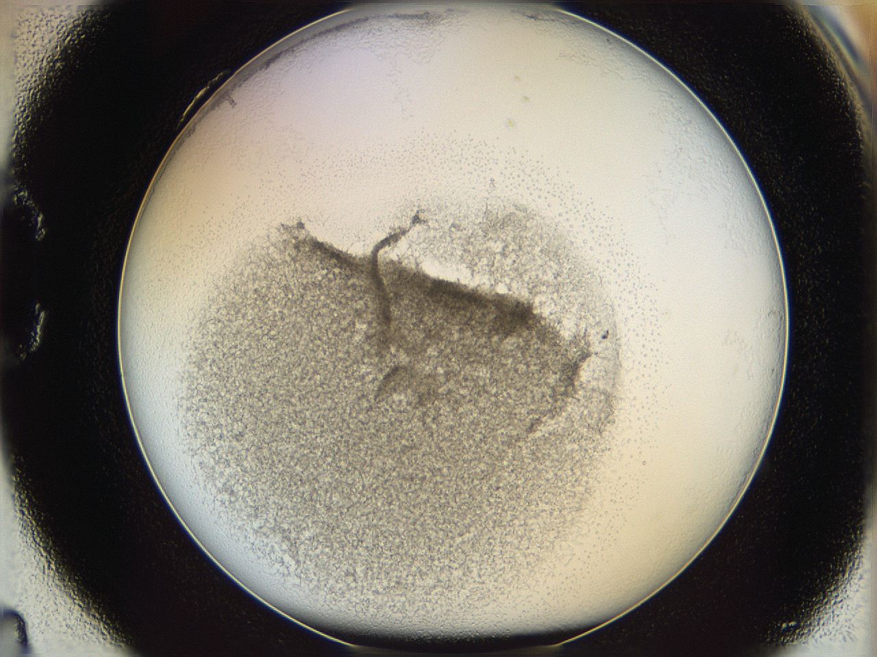 05y2_C4_ImagerDefaults_3.jpg