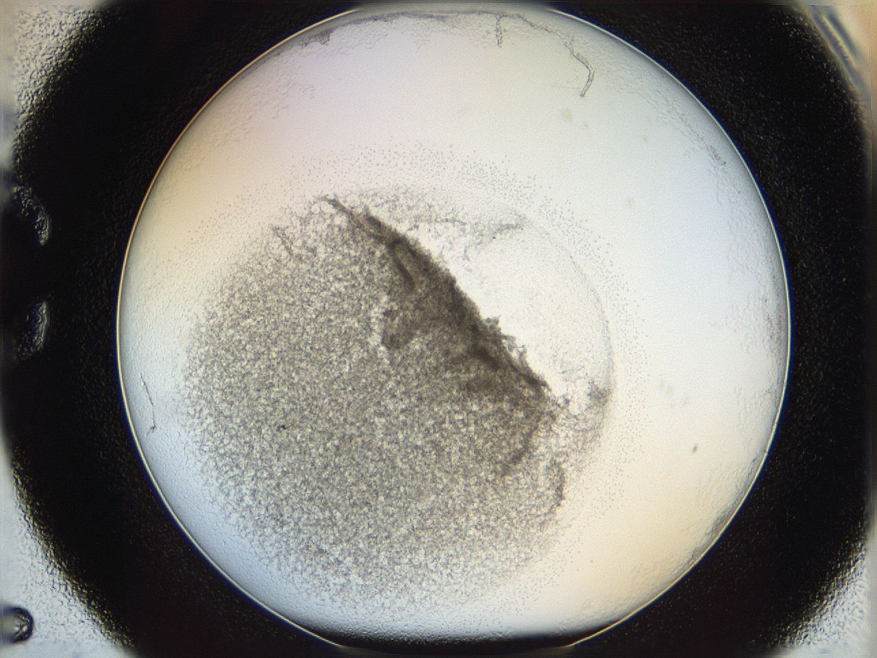 05y2_C5_ImagerDefaults_3.jpg