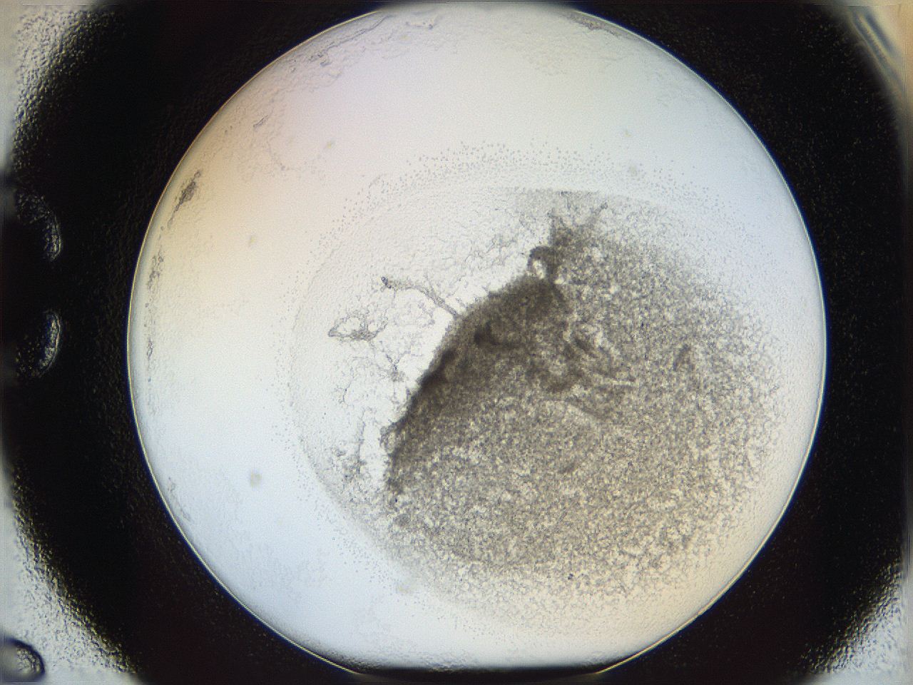 05y2_C6_ImagerDefaults_3.jpg