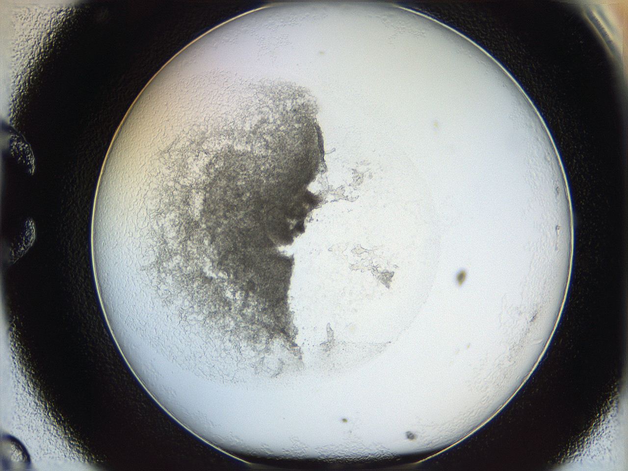 05y2_C8_ImagerDefaults_5.jpg