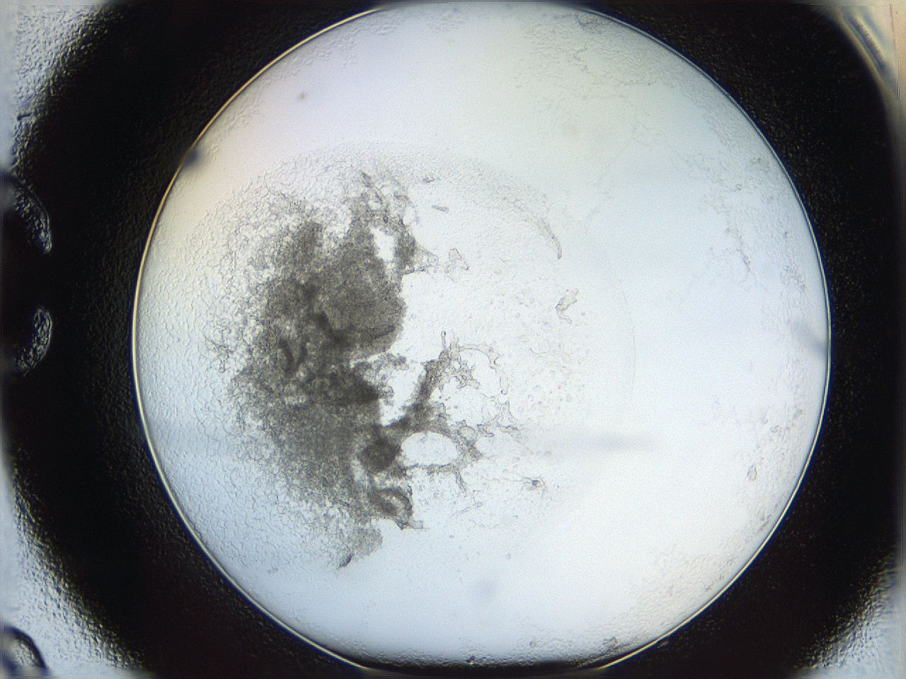 05y2_C9_ImagerDefaults_5.jpg