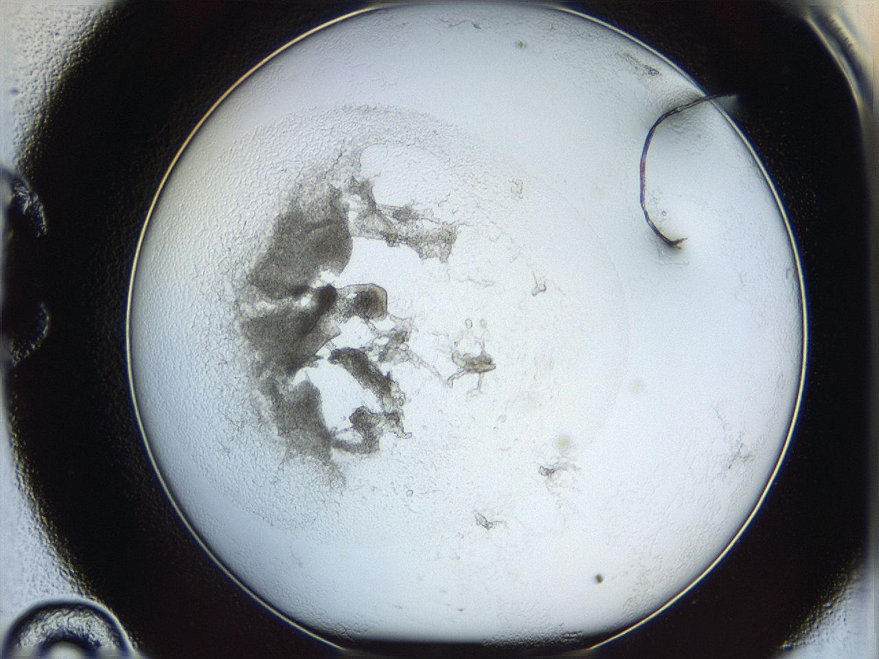 05y2_C10_ImagerDefaults_5.jpg