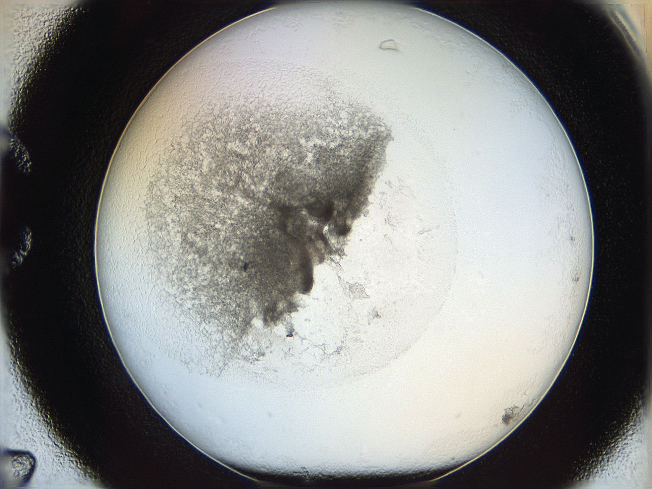 05y2_C7_ImagerDefaults_5.jpg