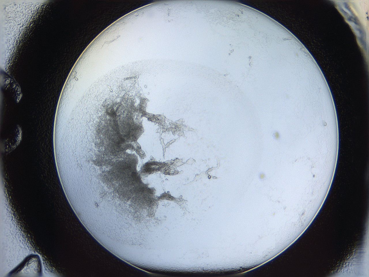 05y2_C11_ImagerDefaults_5.jpg