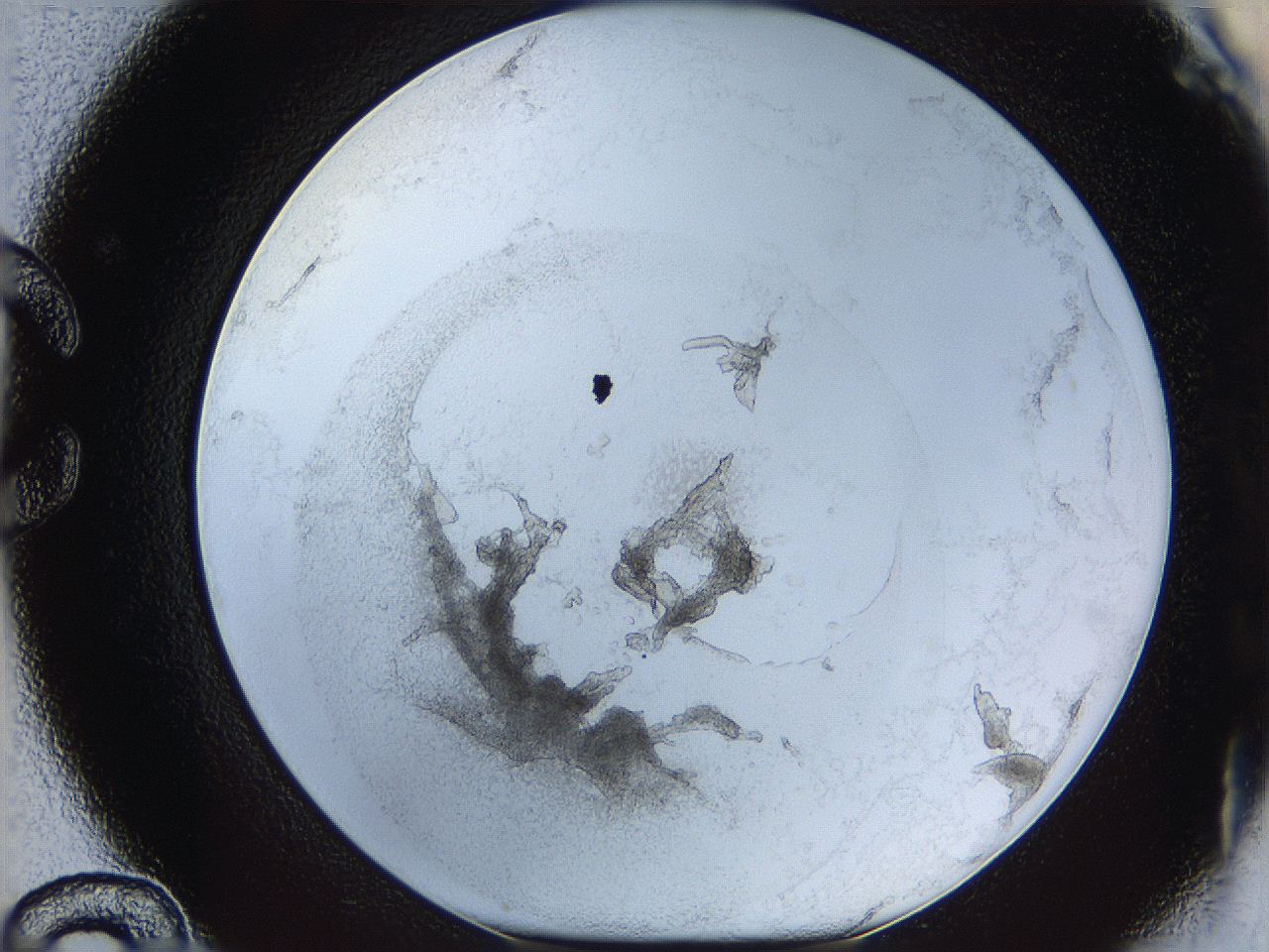 05y2_C12_ImagerDefaults_5.jpg