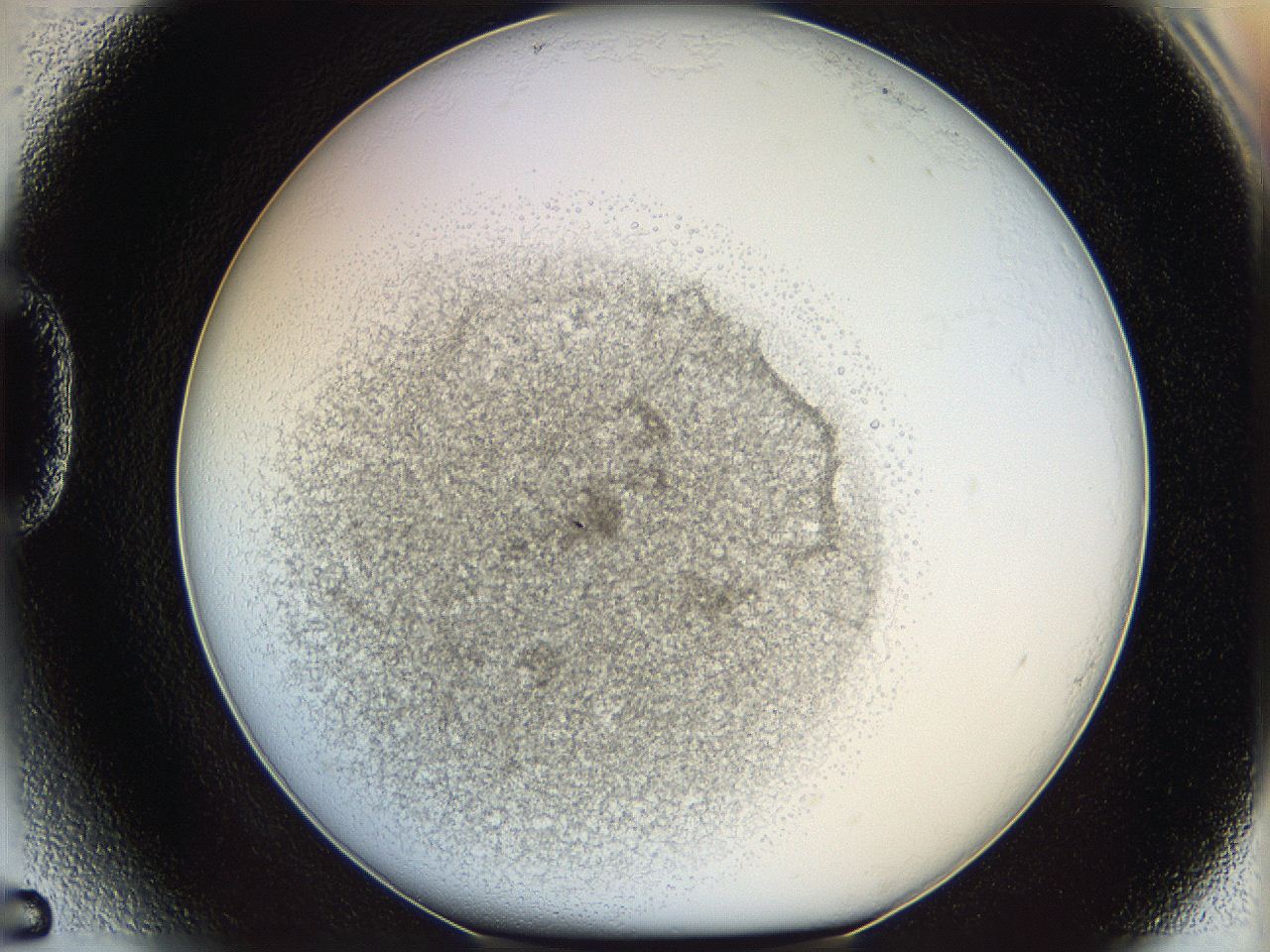05y2_D5_ImagerDefaults_5.jpg