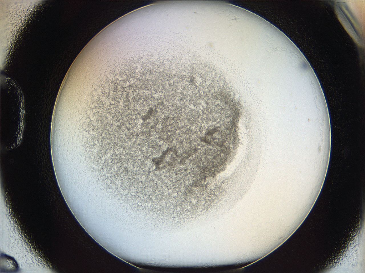 05y2_D6_ImagerDefaults_5.jpg