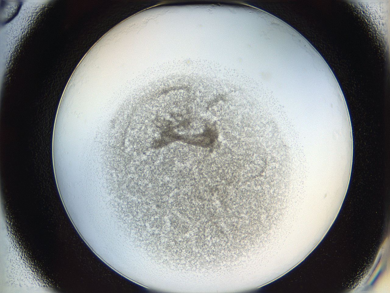 05y2_D6_ImagerDefaults_3.jpg