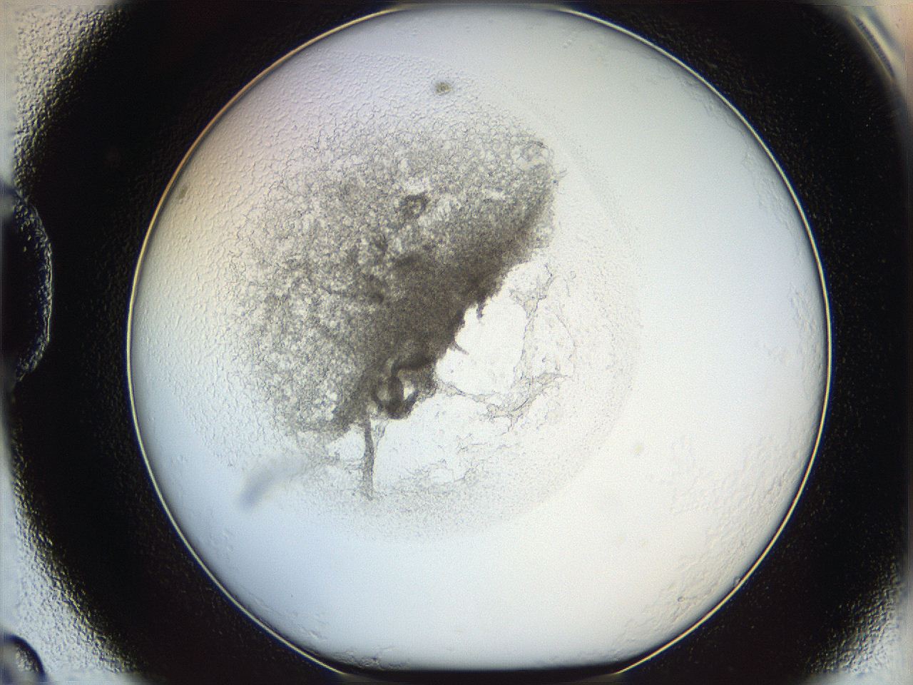 05y2_D8_ImagerDefaults_5.jpg