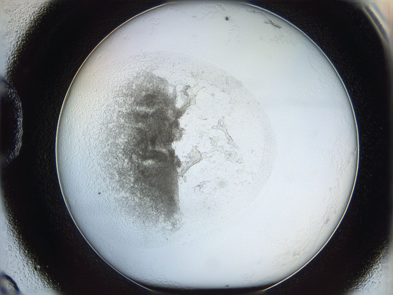 05y2_D9_ImagerDefaults_5.jpg