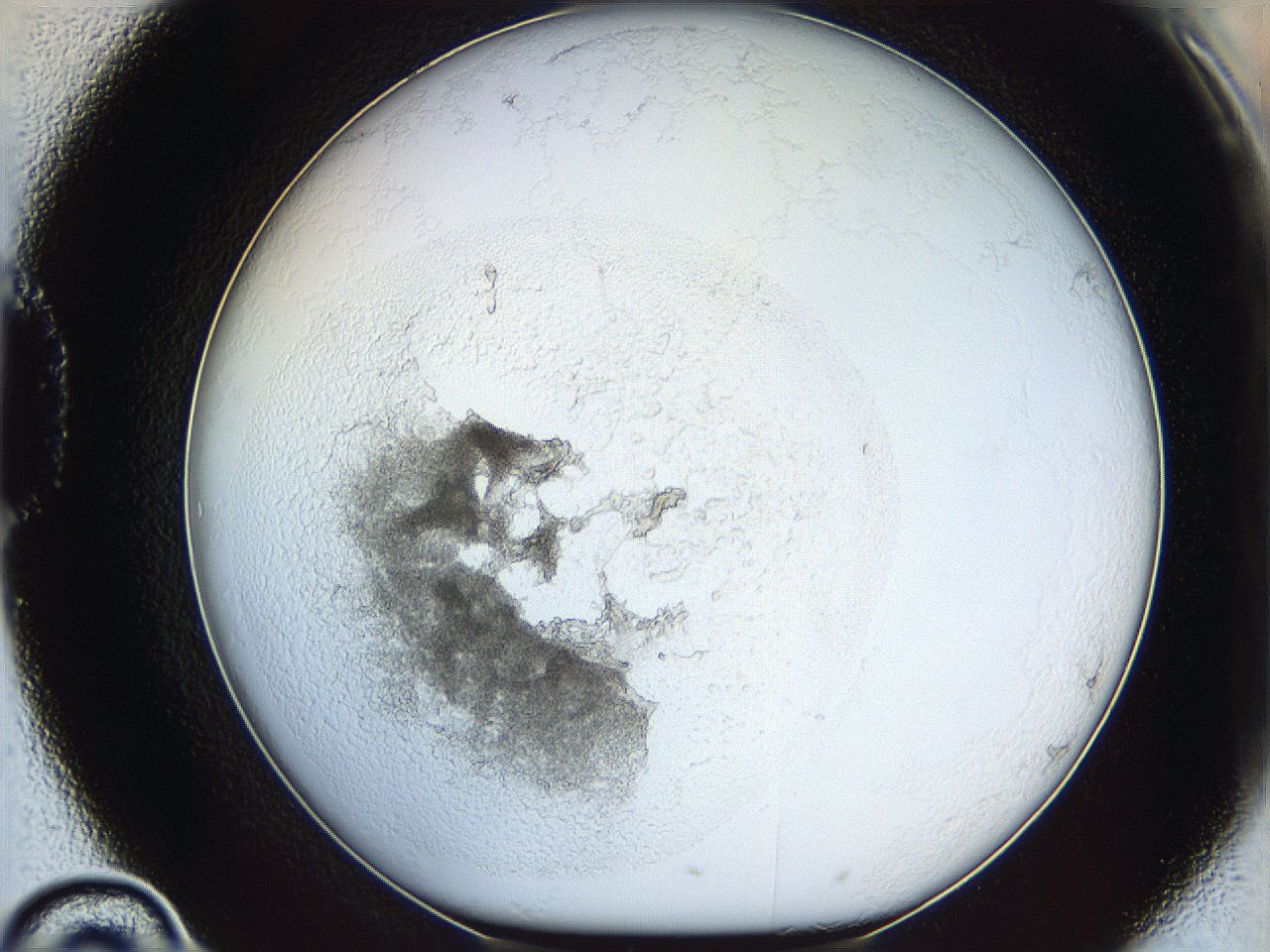 05y2_D10_ImagerDefaults_5.jpg