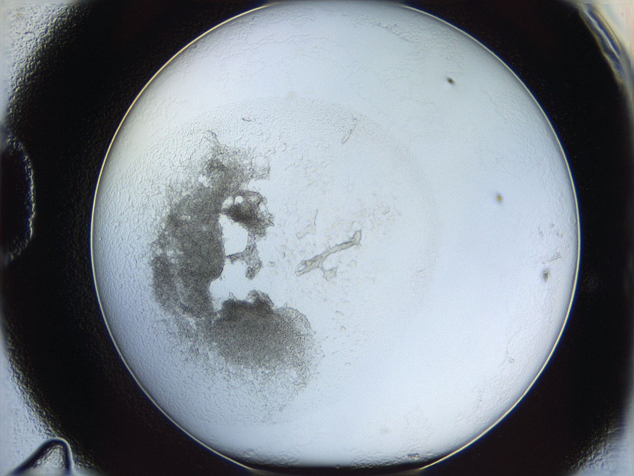 05y2_D11_ImagerDefaults_5.jpg
