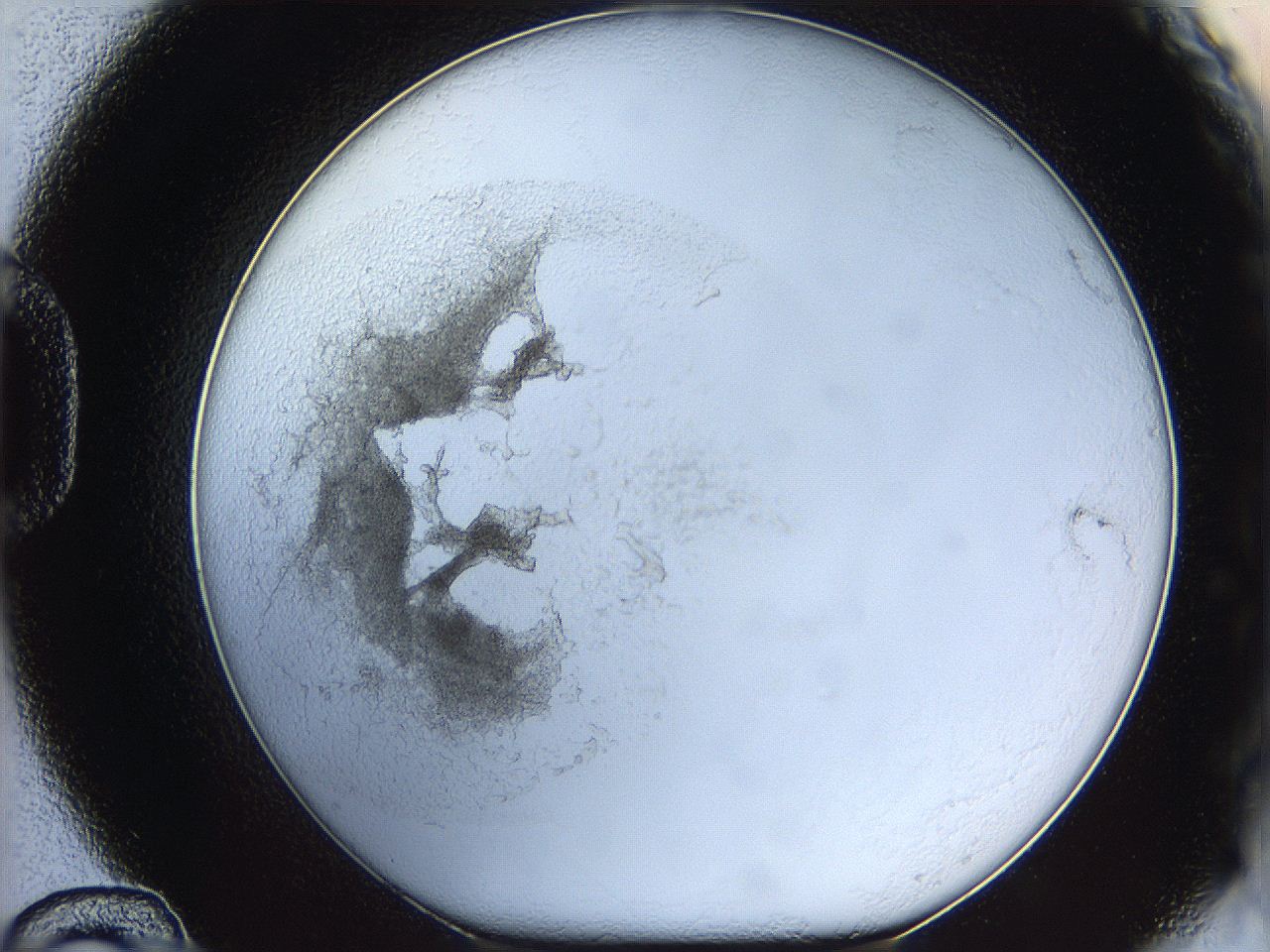 05y2_D12_ImagerDefaults_5.jpg