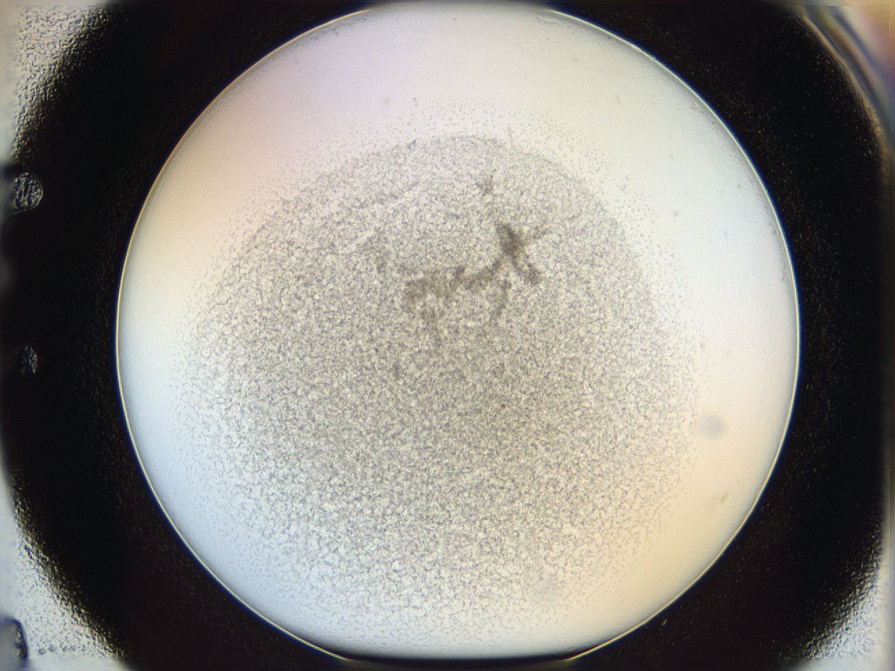 05y2_E4_ImagerDefaults_5.jpg