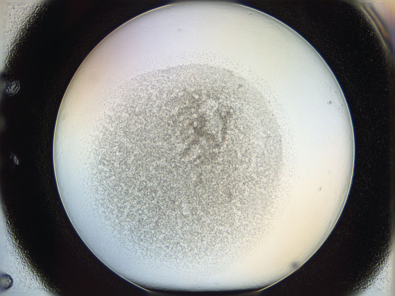 05y2_E5_ImagerDefaults_5.jpg