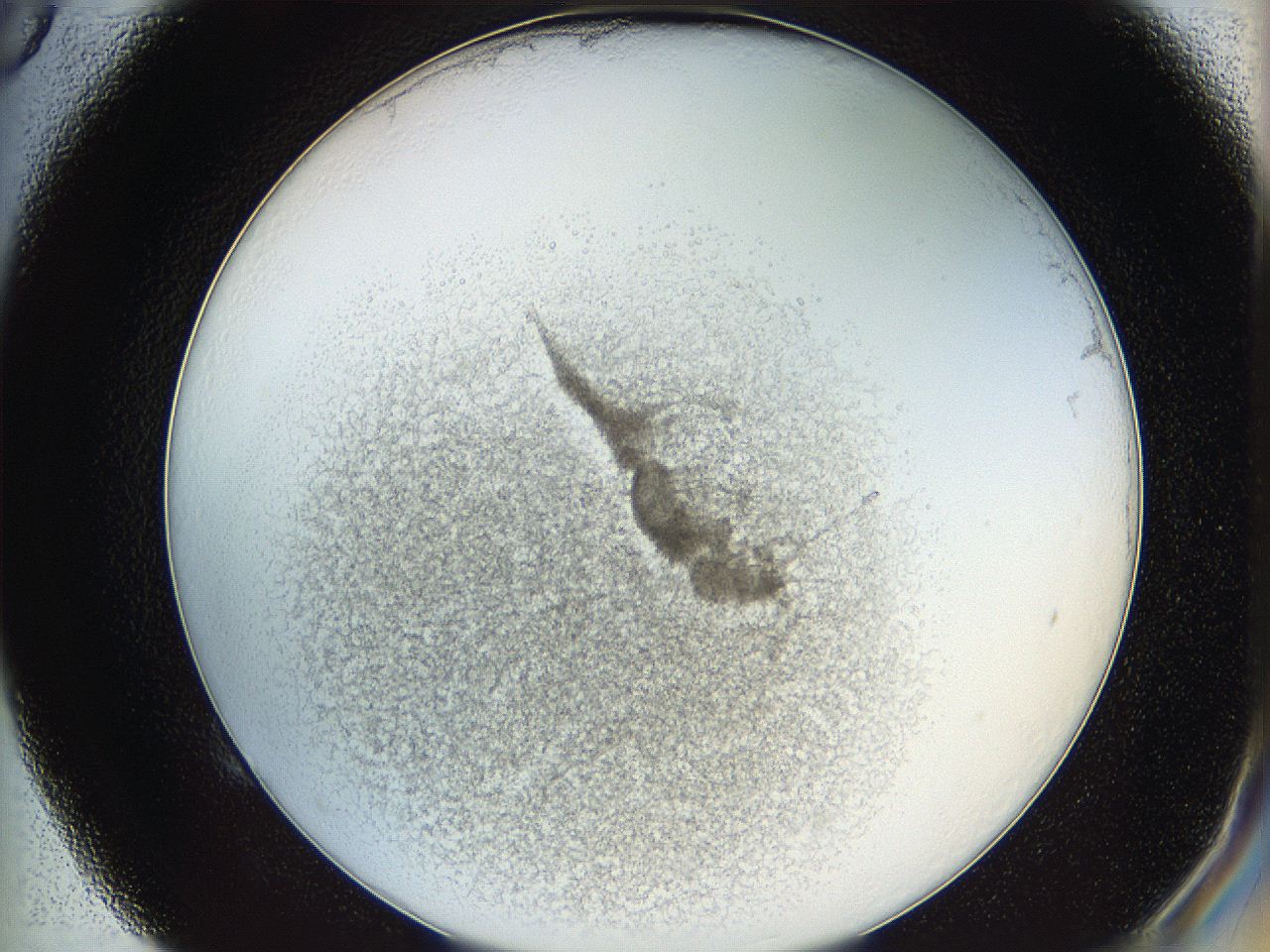 05y2_E5_ImagerDefaults_3.jpg
