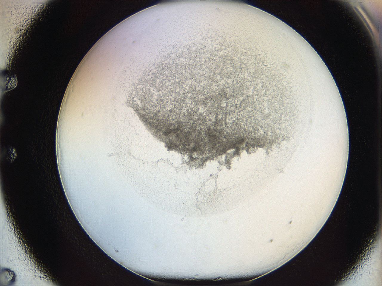 05y2_E7_ImagerDefaults_5.jpg