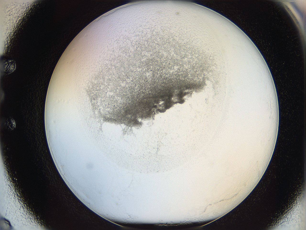 05y2_E8_ImagerDefaults_5.jpg