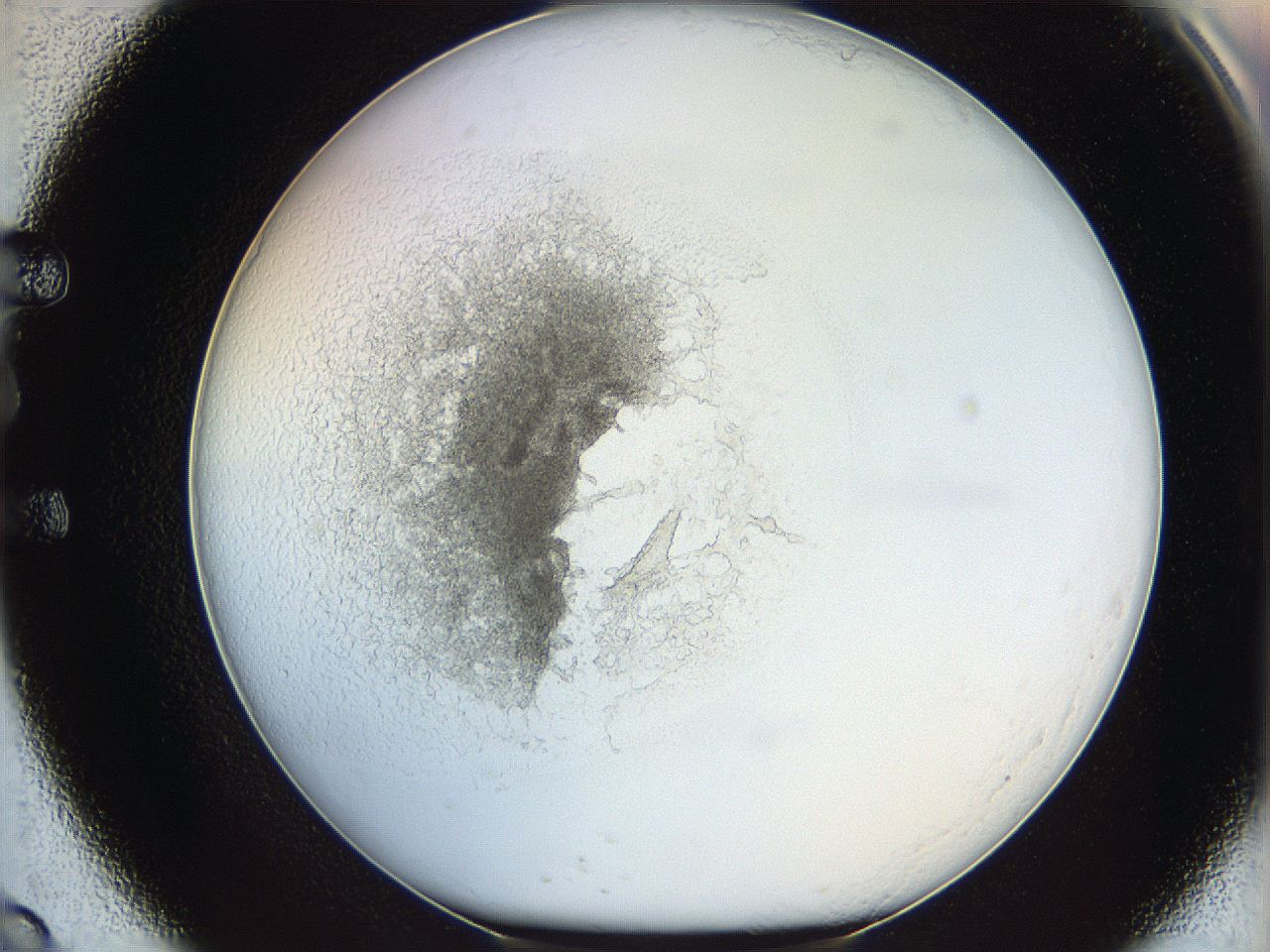 05y2_E9_ImagerDefaults_5.jpg