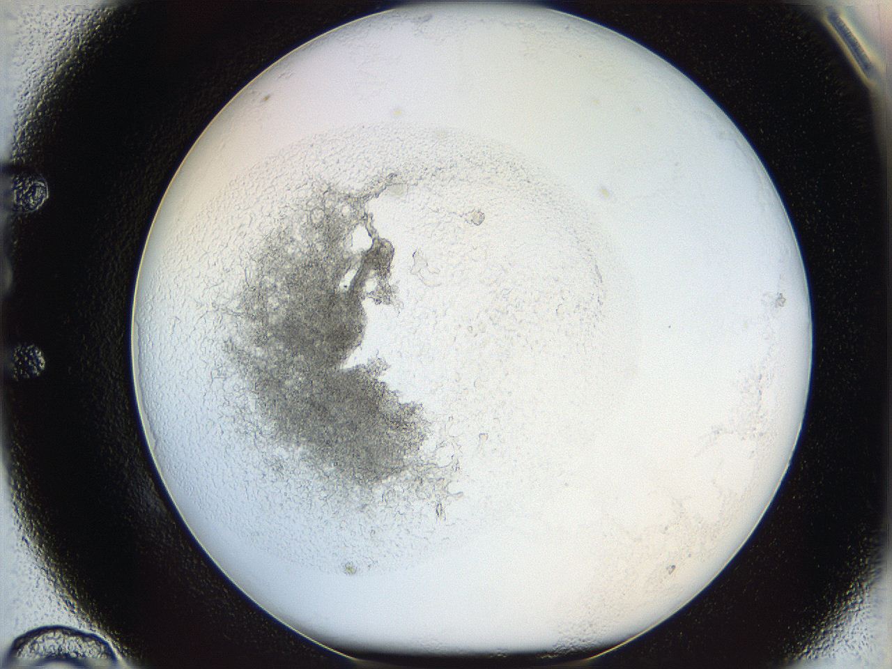 05y2_E10_ImagerDefaults_5.jpg