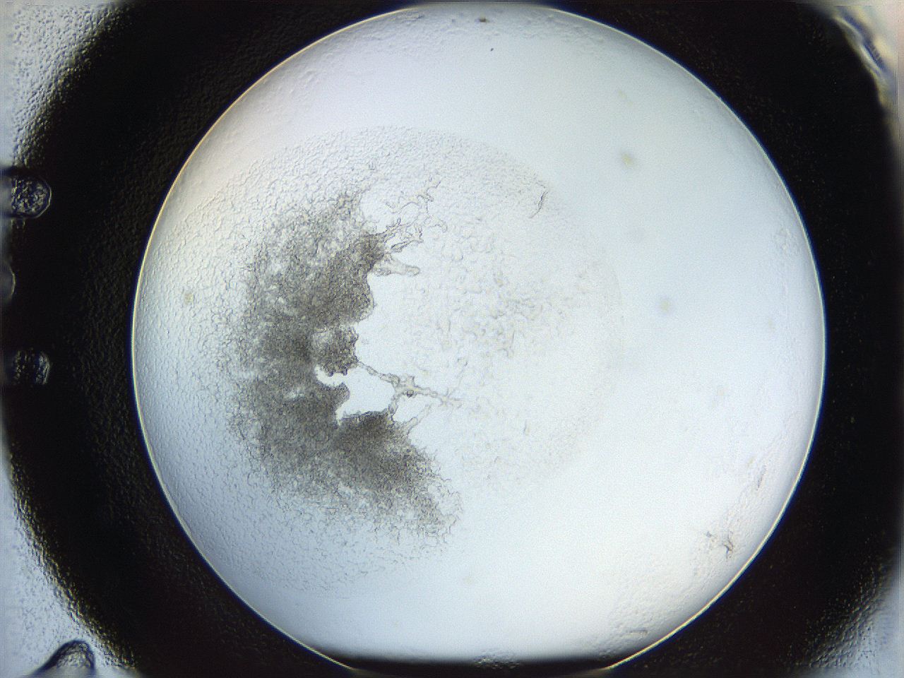 05y2_E11_ImagerDefaults_5.jpg