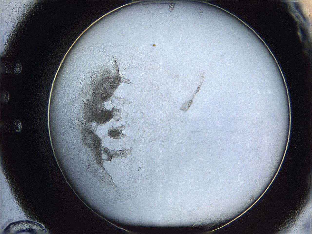 05y2_E12_ImagerDefaults_5.jpg