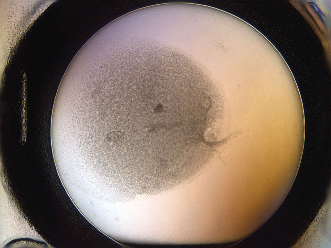 05y2_H12_ImagerDefaults_5.jpg