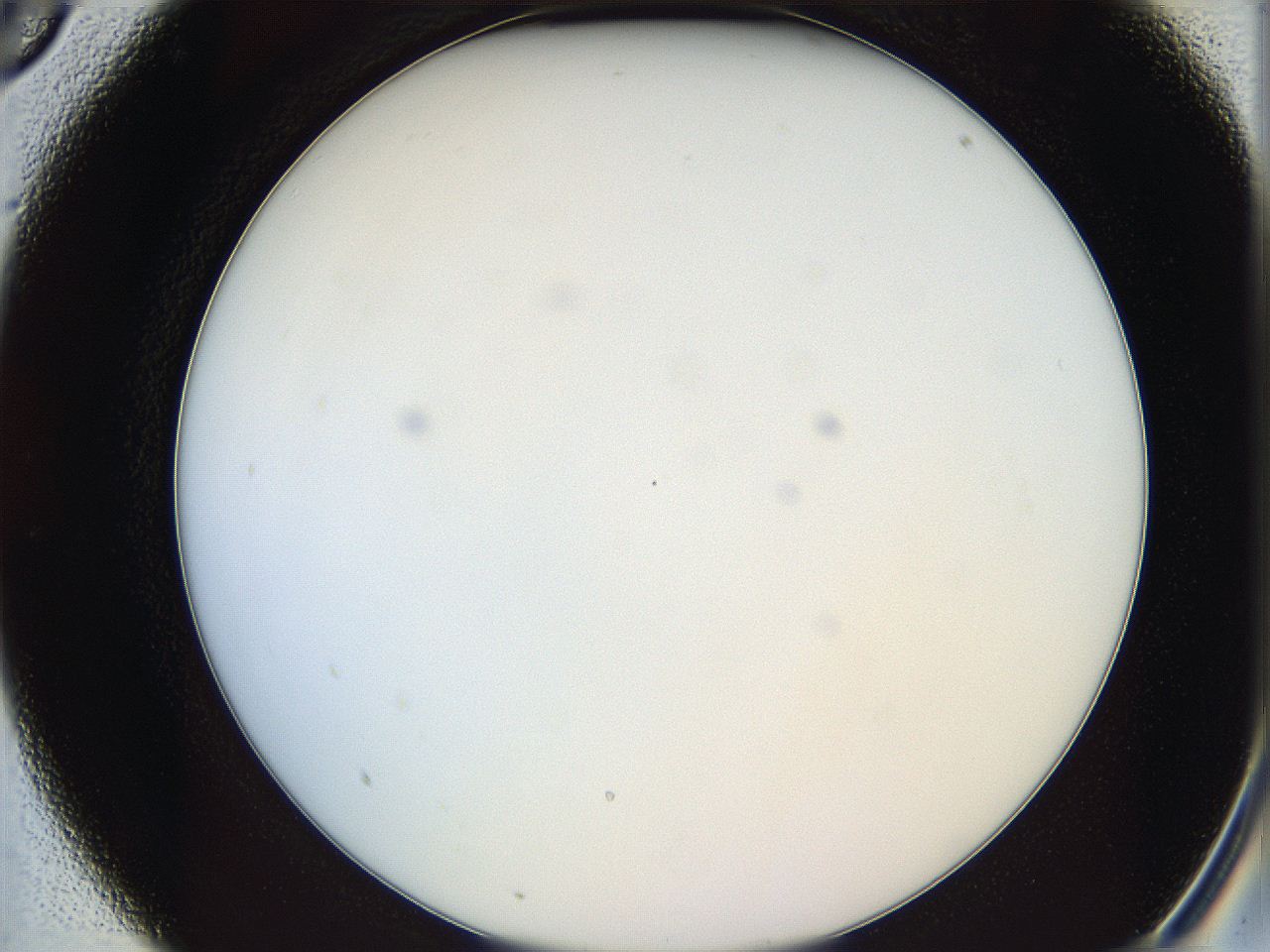 05y3_A5_ImagerDefaults_0.jpg