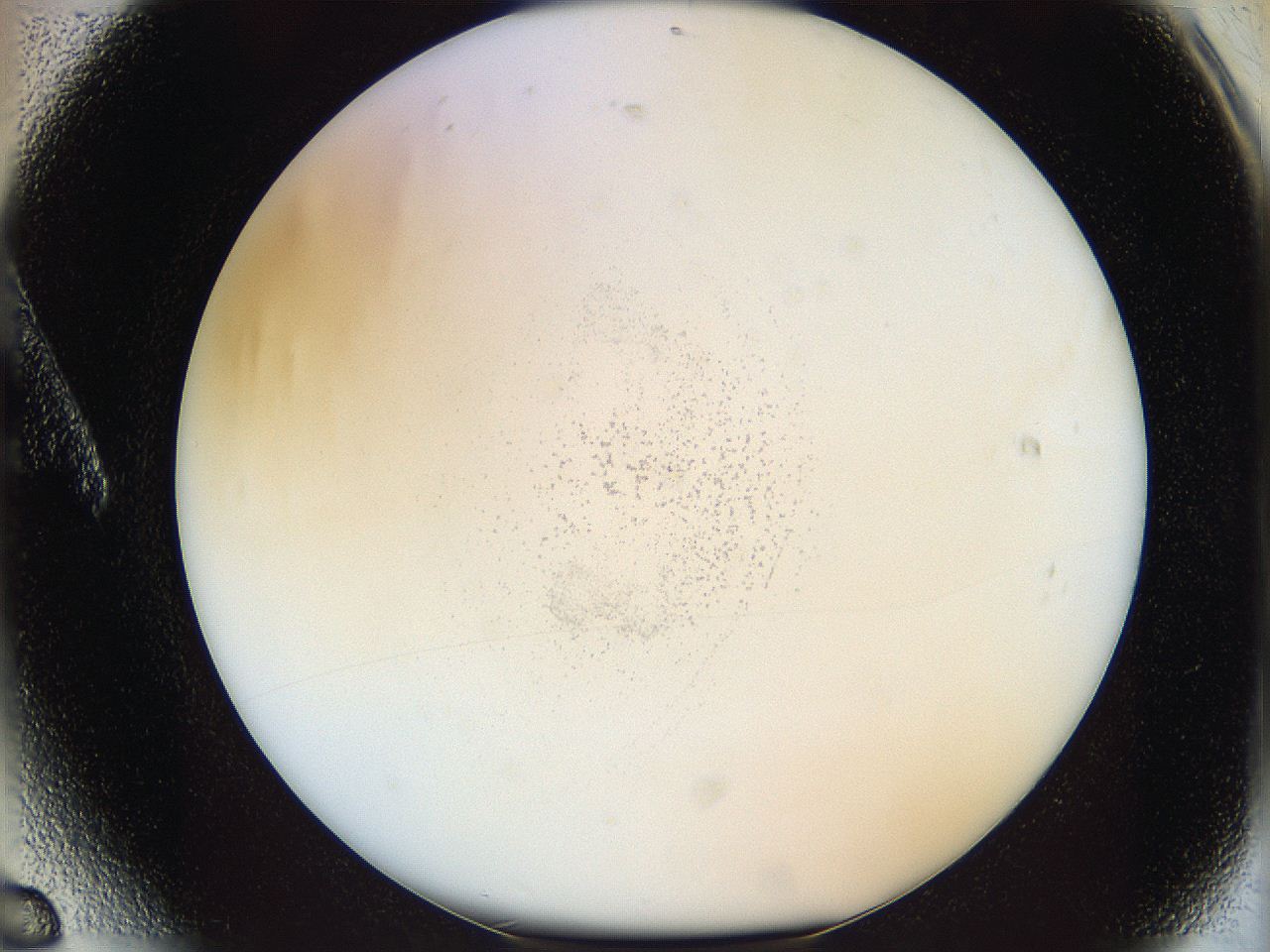 05y3_A6_ImagerDefaults_0.jpg