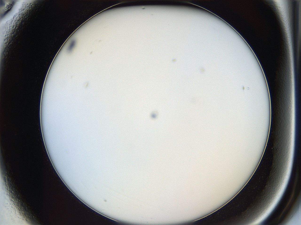 05y3_A3_ImagerDefaults_0.jpg