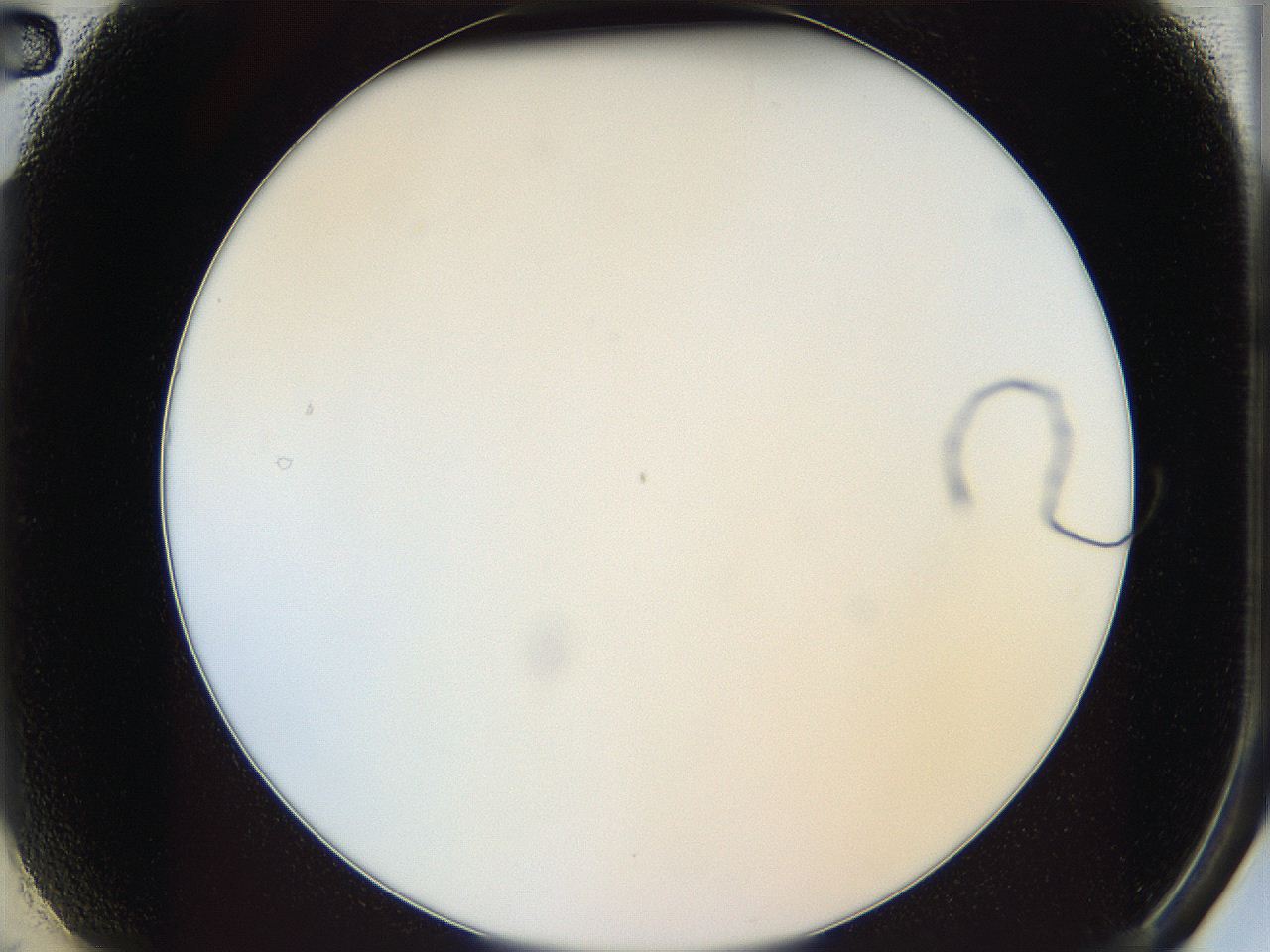 05y3_A2_ImagerDefaults_0.jpg