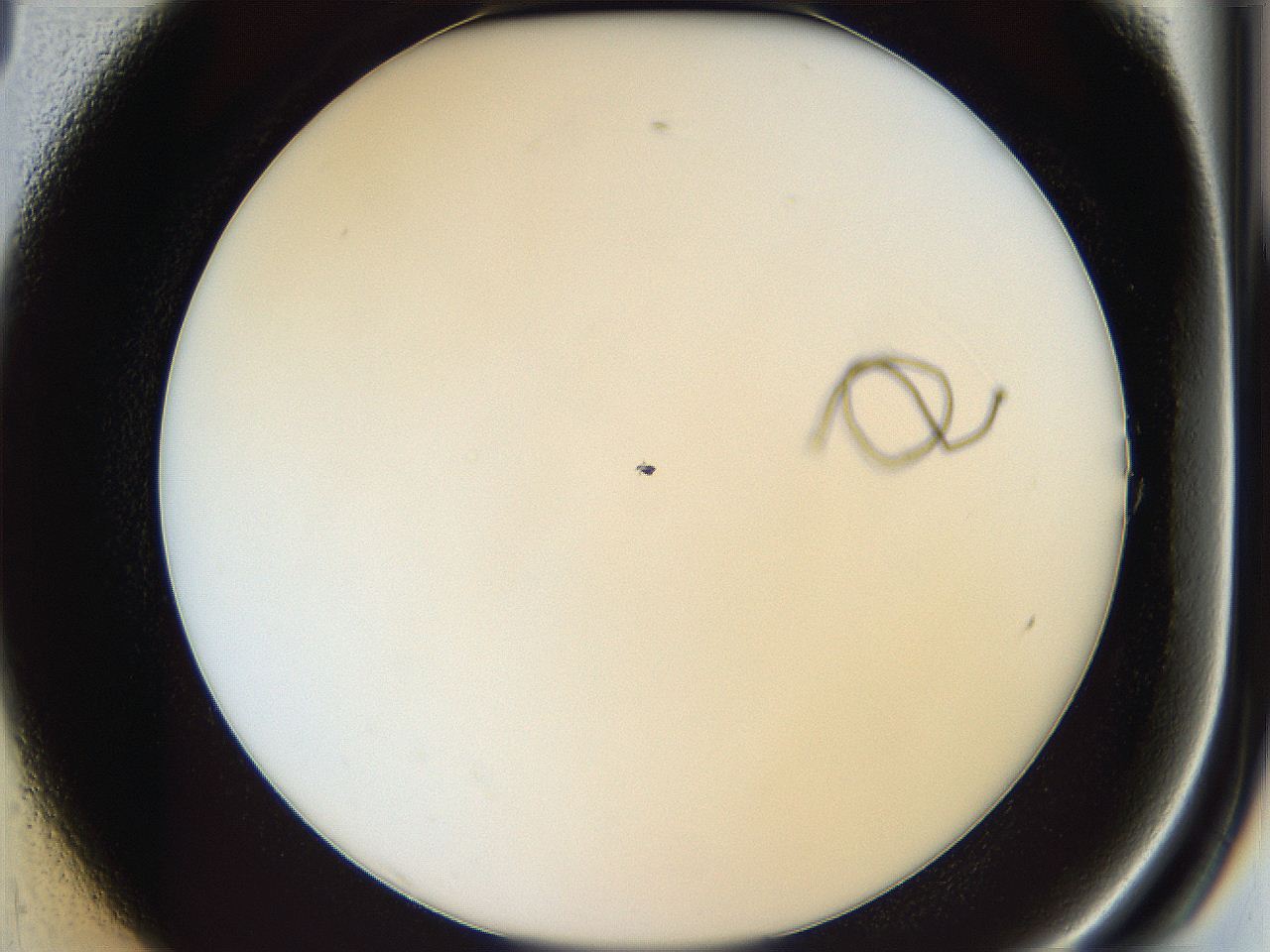 05y3_A1_ImagerDefaults_0.jpg