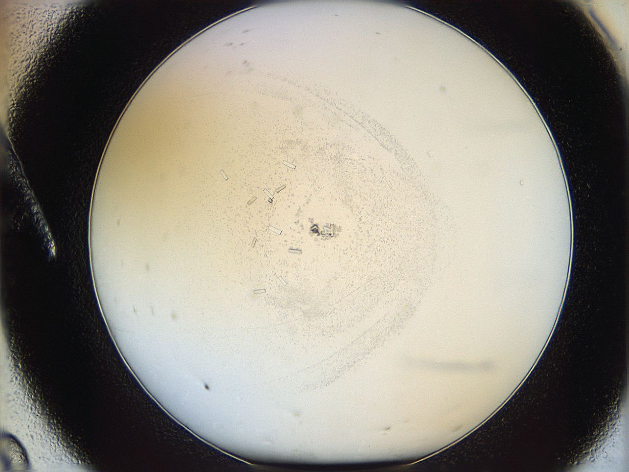 05y3_A8_ImagerDefaults_2.jpg