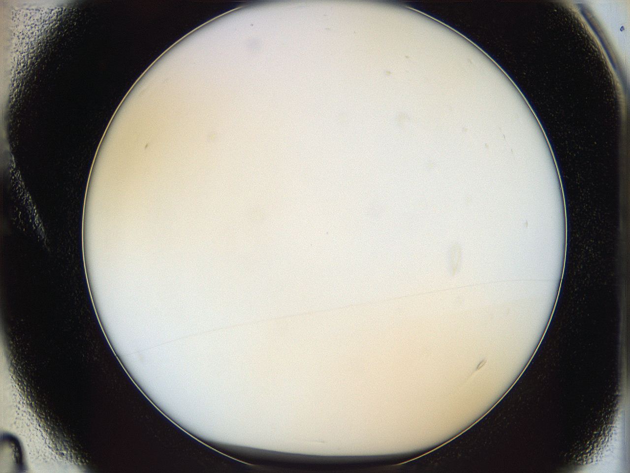 05y3_A4_ImagerDefaults_0.jpg